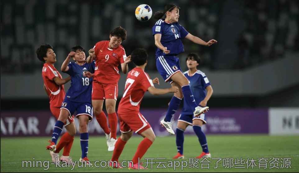 开云app聚合了哪些体育资源